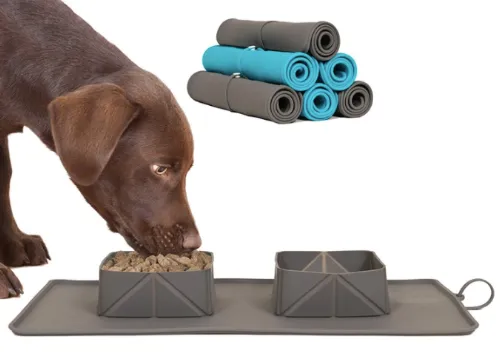 Waterproof Silicone Collapsible Dual-Use Bowl For Pet