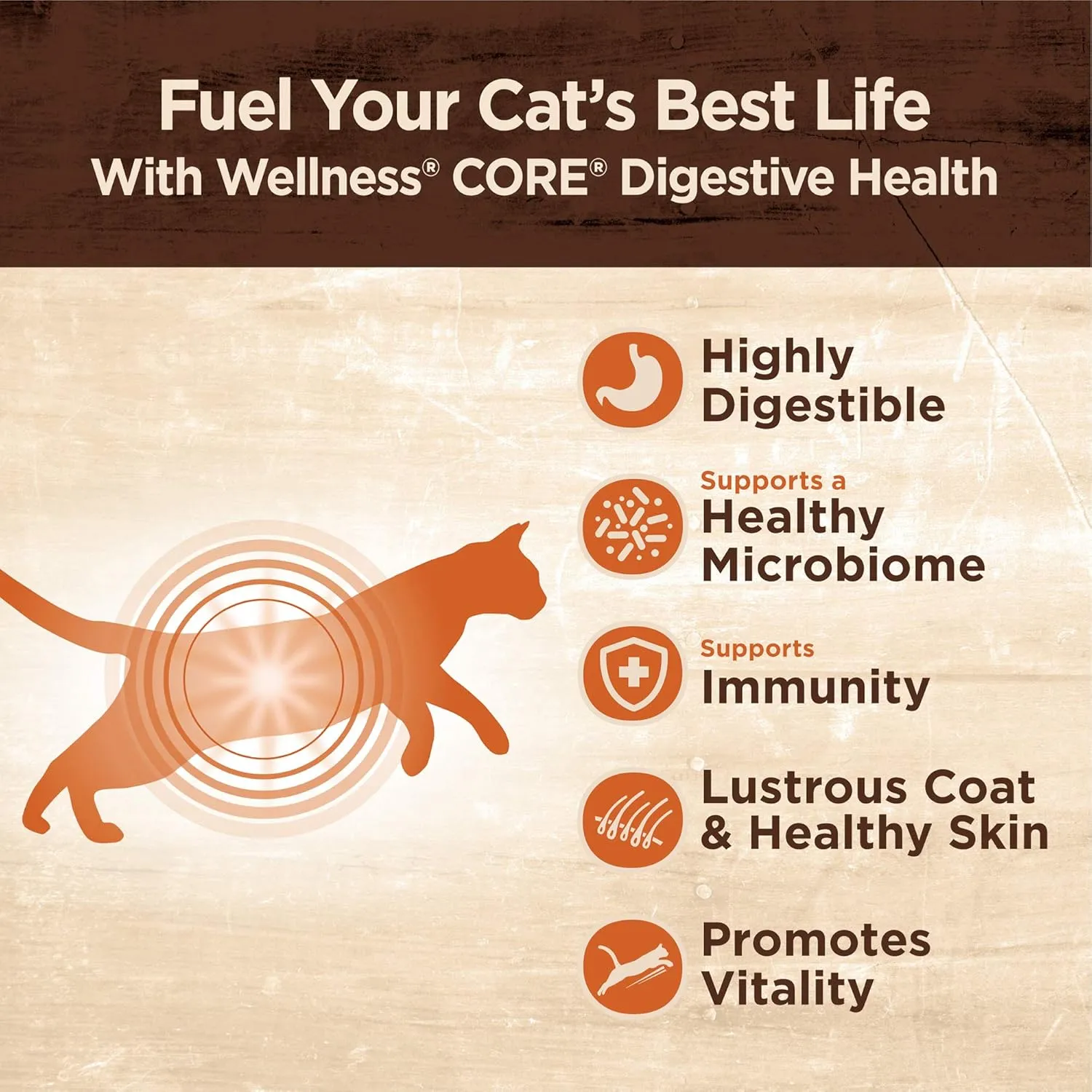 Wellness CORE  Adult Dry Cat Food for Indoor and Outdoor Cats, Wholesome Grains, Natural, Digestive Health Chicken & Rice (11 Pound Bag)