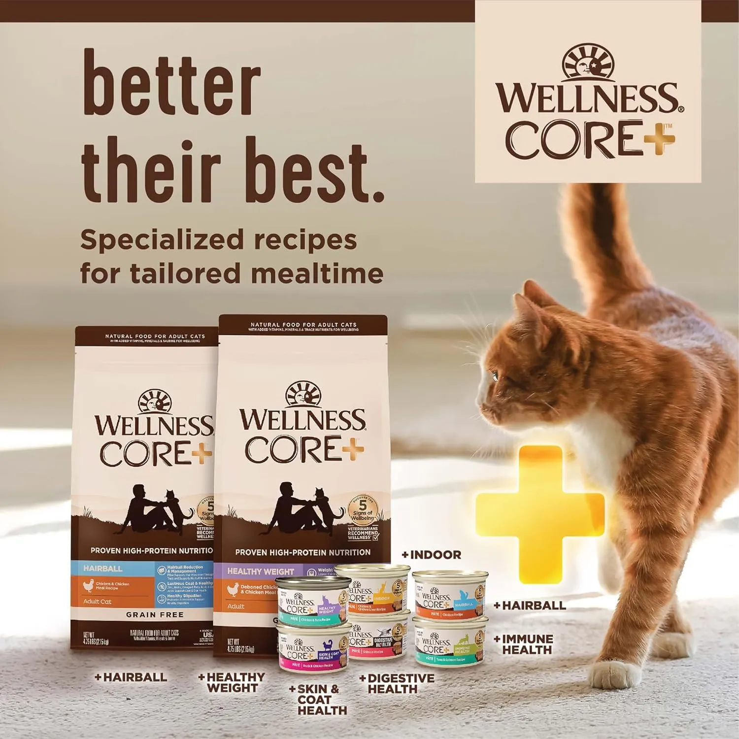 Wellness CORE  Adult Dry Cat Food for Indoor and Outdoor Cats, Wholesome Grains, Natural, Digestive Health Chicken & Rice (11 Pound Bag)